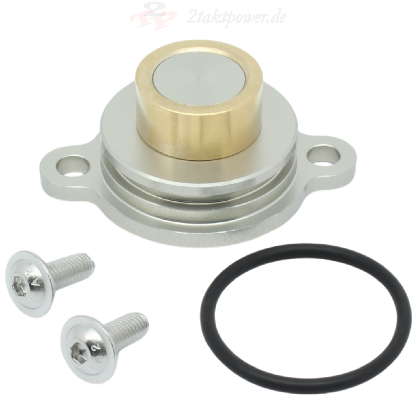 Auslasssteuerung Deckel Lager Powerwalze für Athena Zylinder für Yamaha DT TZR TDR 125, Sachs ZX ZZ XTC 125, KTM LC2 125 und Derbi GPR 125.