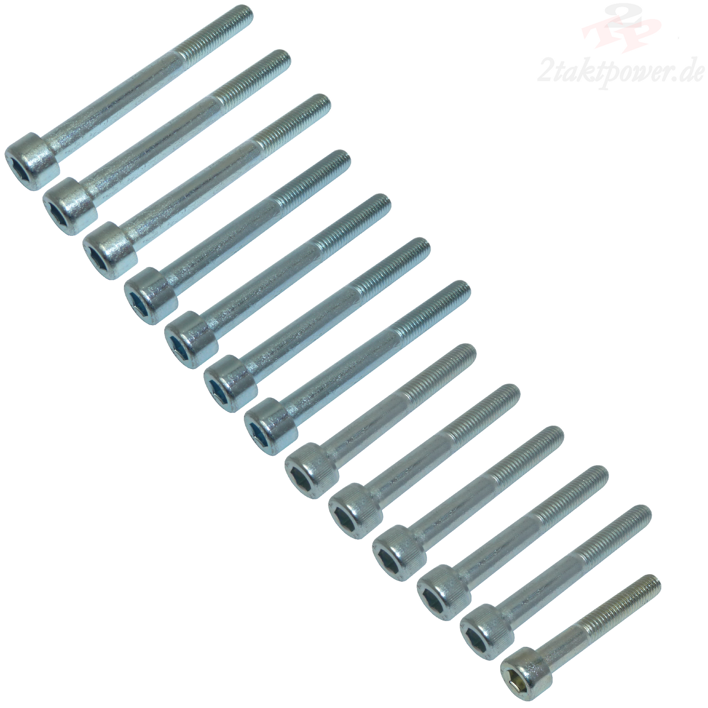 Schrauben Motorgehäuse Motor Hälften für Yamaha DT 125 / TDR TZR Sachs ZZ ZX KTM LC2 125
