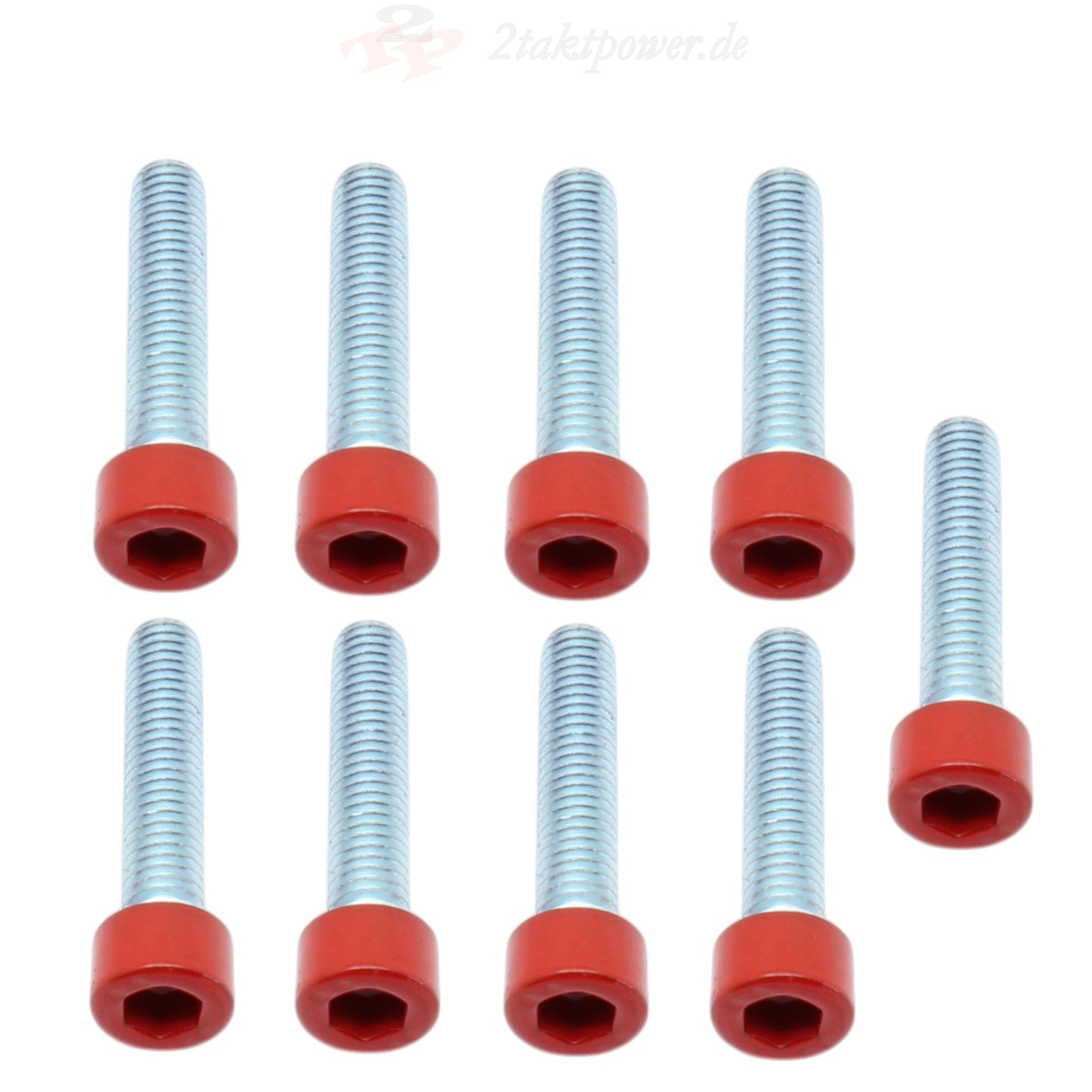 Schrauben Kupplungsdeckel Deckel Motor für Rotax 122 / Aprilia RS RX MX SX ETX 125