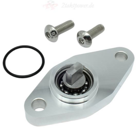 Blindverschluss Verschluss Abdeckung Öffnung Ölpumpe Kupplungsdeckel Pumpe für Rotax 122 & 123 Motor / Aprilia RS RX AF1 MX SX ETX Classic Pegaso Tuareg 125.