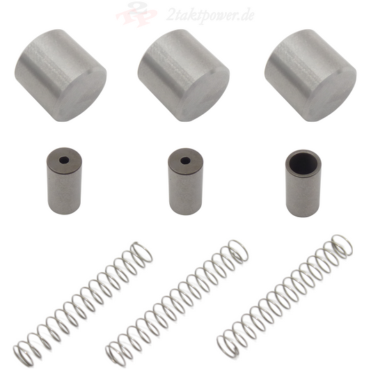 Anlasserfreilauf Freilauf Anlasser Polrad Lichtmaschine Rolle Feder Stift für Yamaha DT TDR TZR 125, LC2 Sachs ZZ ZX XTC 125, OE-Referenznummern: 3AY1558300 / 9361010174 / 9050102639