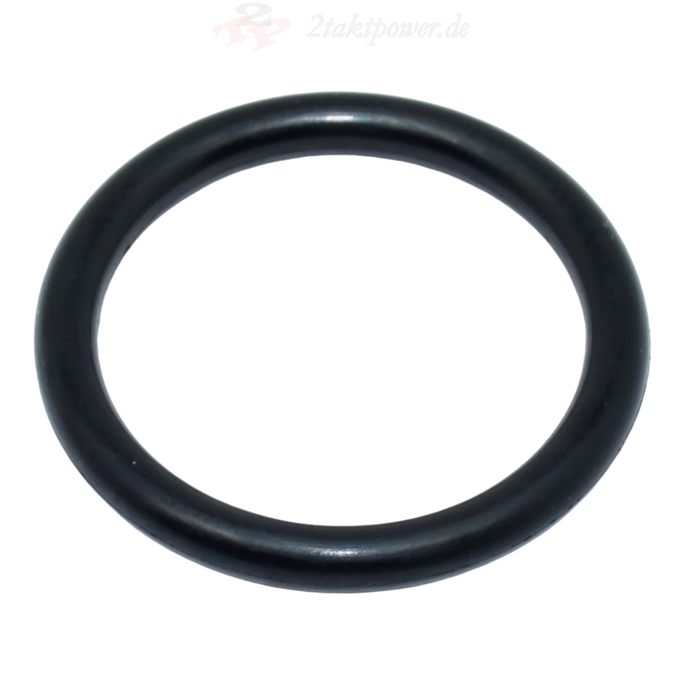 O-Ring Ölpumpe (DE06/X)