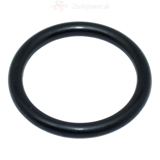 O-Ring Ölpumpe (DE06/X)