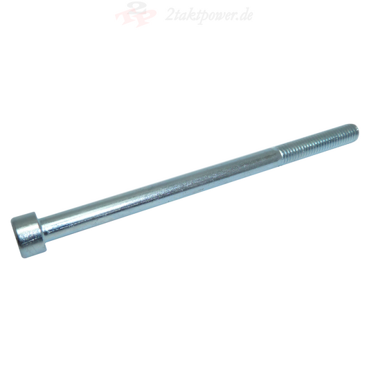 Schraube Powerwalze Walze Zylinder für Yamaha DT 125 / TDR TZR Sachs ZZ ZX KTM LC2 125