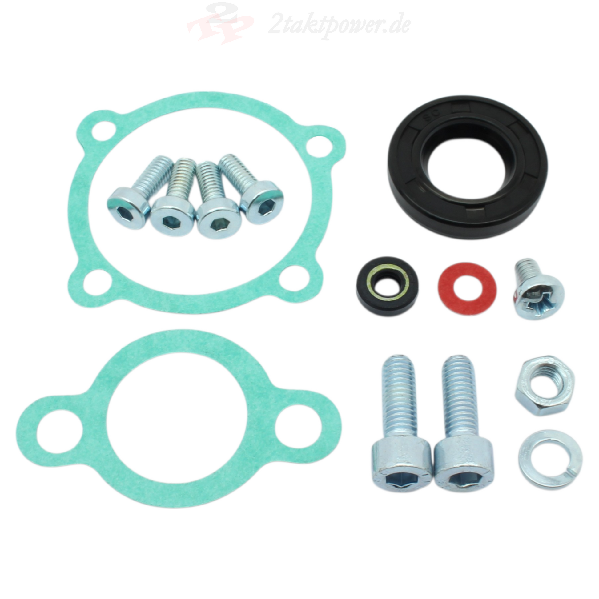 Überholset Set Kit Reparatur Dichtungen für Ölpumpe 3RM 3J0 4Bl für Yamaha DT TDR TZR 125, Sachs ZZ ZX XTC 125, KTM LC2 125