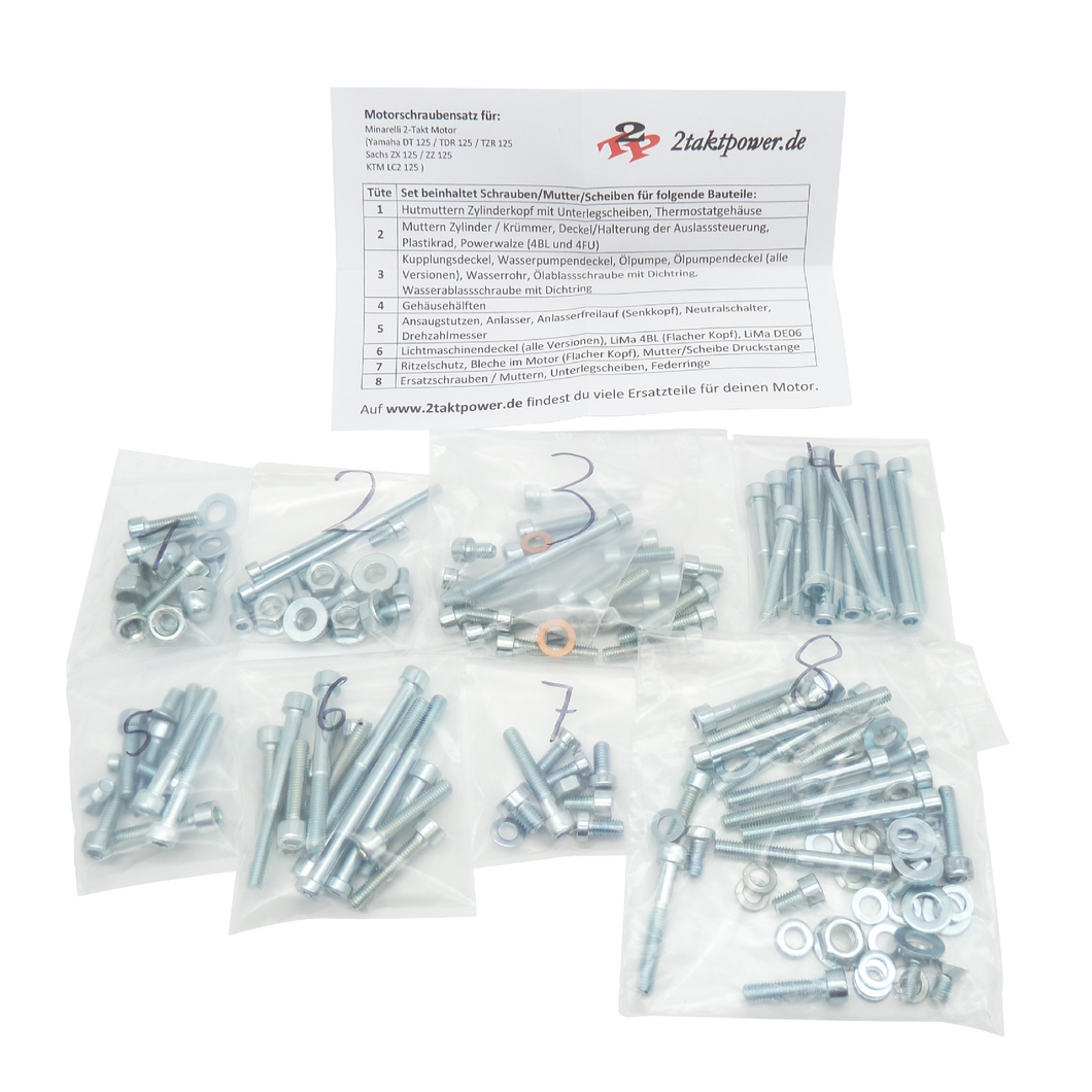 Motor Schrauben Satz für Yamaha DT TDR TZR 125, Sachs ZX ZZ XTC 125, KTM LC2 125, Debi GPR 125
