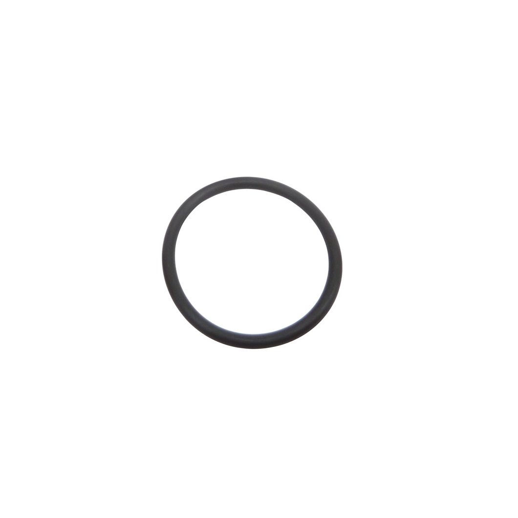 O-Ring Auslasssteuerung TZR 250